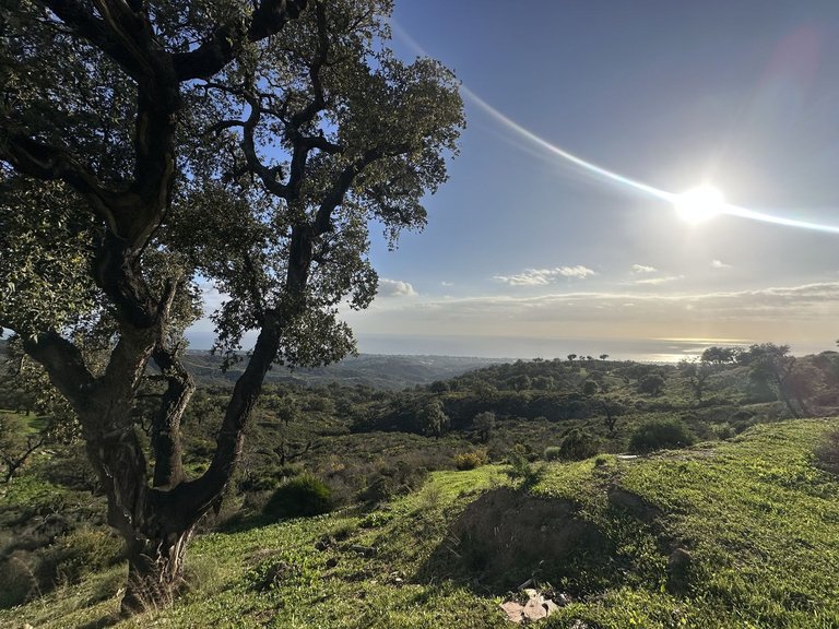 Plot for Sale in La Mairena, Malaga 20