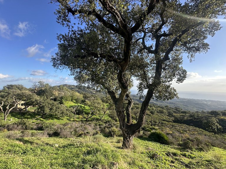 Plot for Sale in La Mairena, Malaga 21