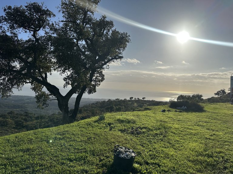 Plot for Sale in La Mairena, Malaga 23