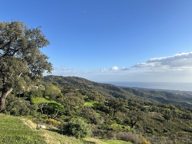 Plot for Sale in La Mairena, Malaga 3
