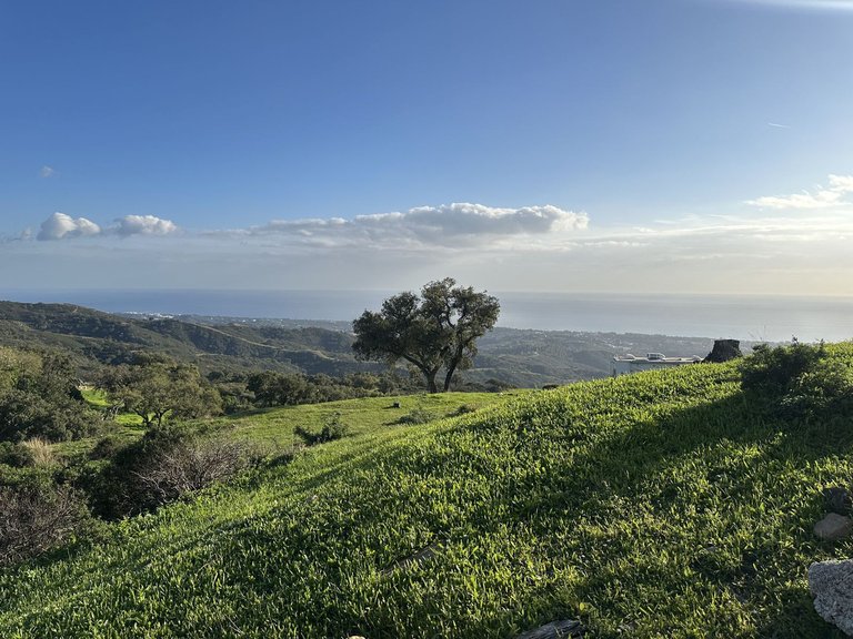 Plot for Sale in La Mairena, Malaga 31