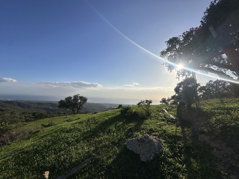 Plot for Sale in La Mairena, Malaga 33