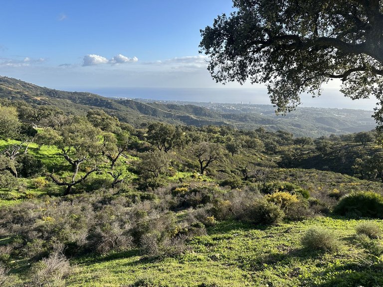 Plot for Sale in La Mairena, Malaga 34