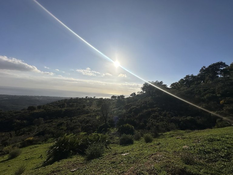 Plot for Sale in La Mairena, Malaga 5