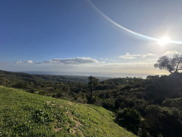Plot for Sale in La Mairena, Malaga 6