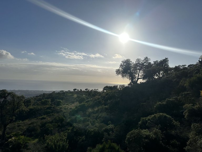 Plot for Sale in La Mairena, Malaga 8