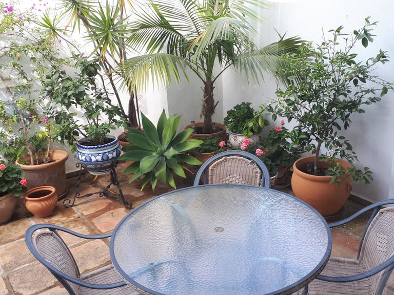 Villa for Sale in Miraflores, Malaga 40