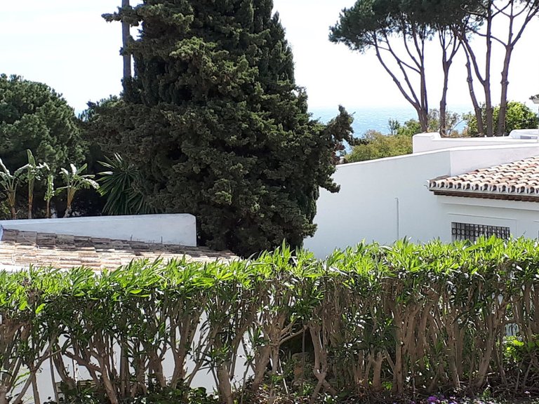 Villa for Sale in Miraflores, Malaga 41