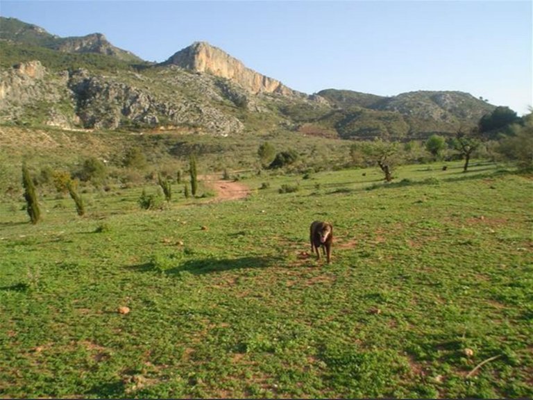 Villa for Sale in Ardales, Malaga 20