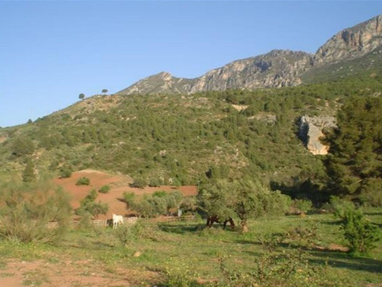 Villa for Sale in Ardales, Malaga 21
