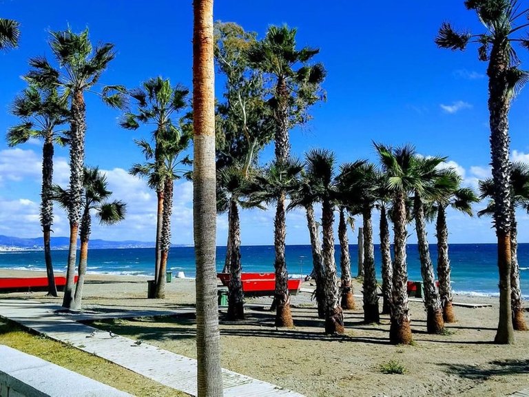 Plot for Sale in San Pedro De Alcántara, Malaga 1