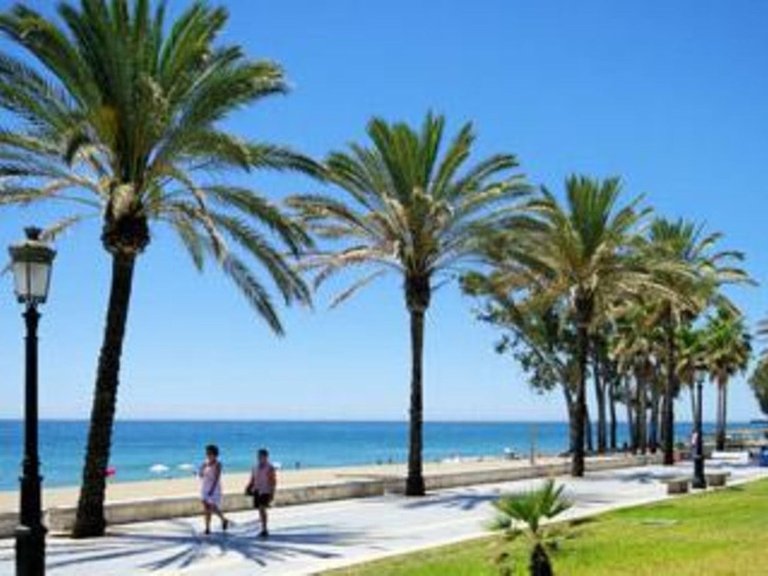 Plot for Sale in San Pedro De Alcántara, Malaga 4