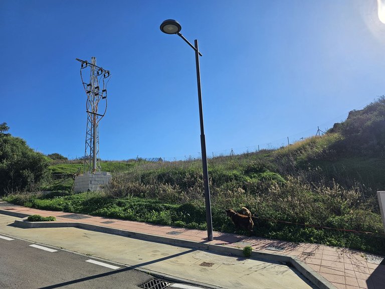 Plot for Sale in Valle Romano, Malaga 2