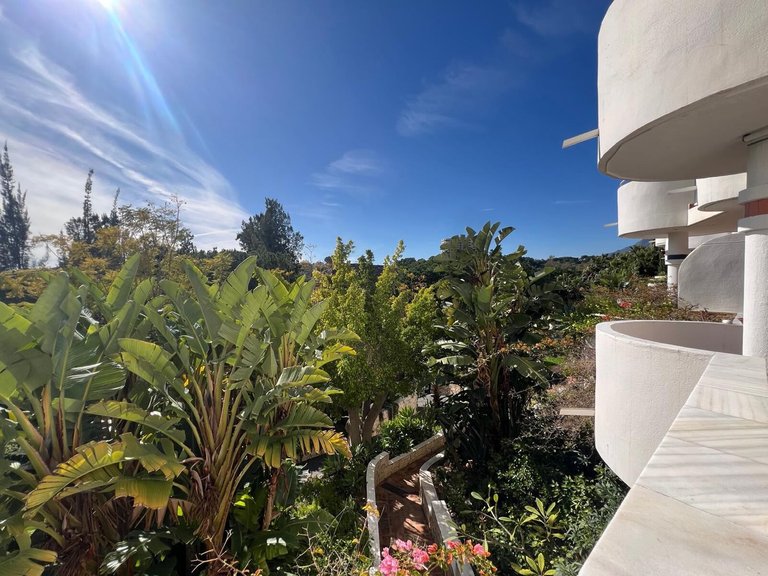 Apartment for Sale in Marbella, Malaga 23
