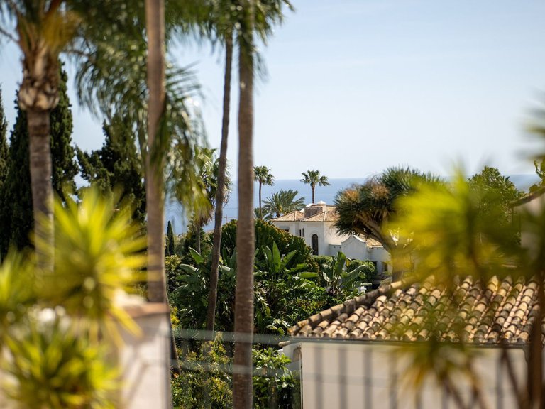 Villa for Sale in Marbella, Malaga 5