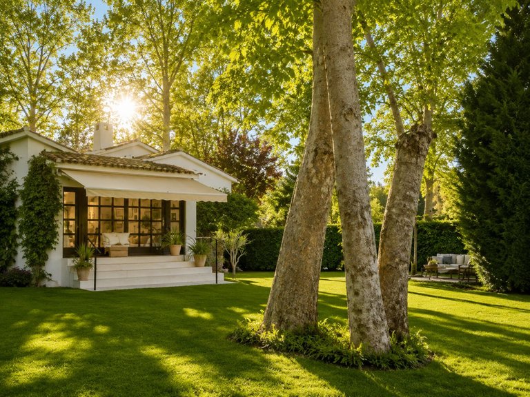 Villa for Sale in Costa del Sol Guadalmina Alta, Malaga 8