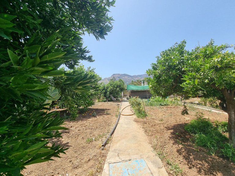 Villa for Sale in Alhaurín El Grande, Malaga 20