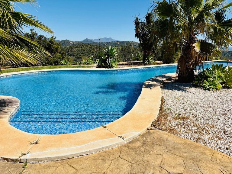 Villa for Sale in Estepona, Malaga 41