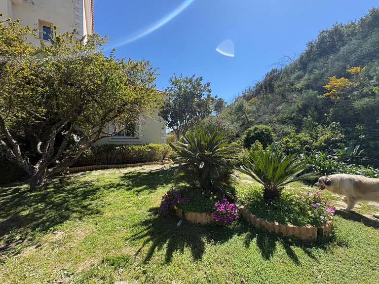Villa for Sale in Estepona, Malaga 50