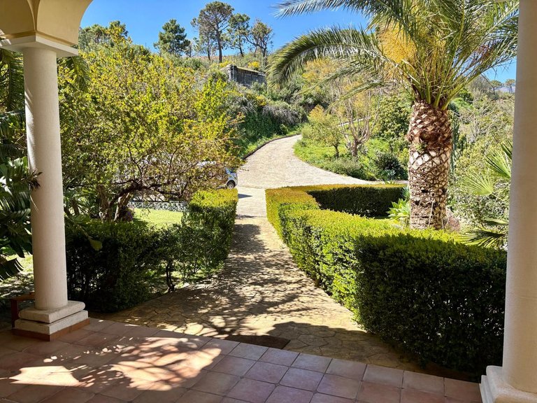 Villa for Sale in Estepona, Malaga 51