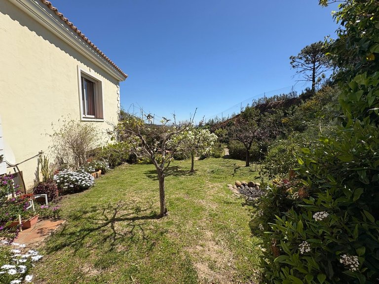 Villa for Sale in Estepona, Malaga 63