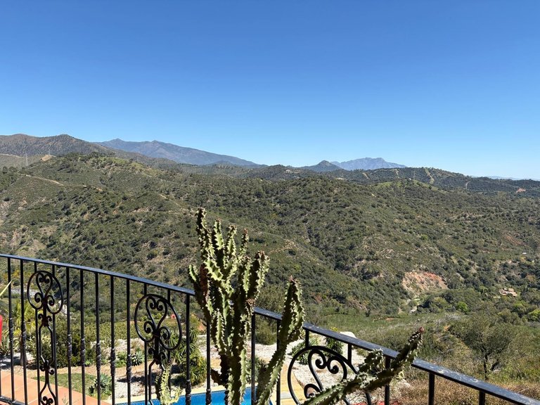 Villa for Sale in Estepona, Malaga 70