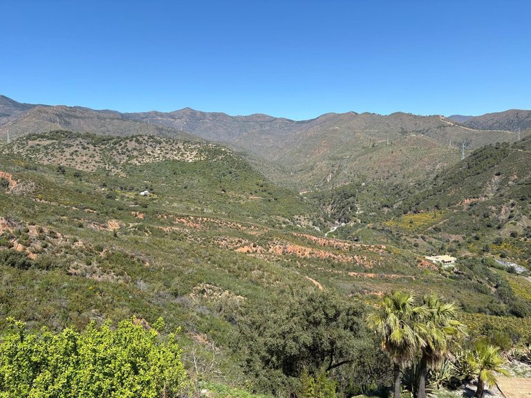 Villa for Sale in Estepona, Malaga 72
