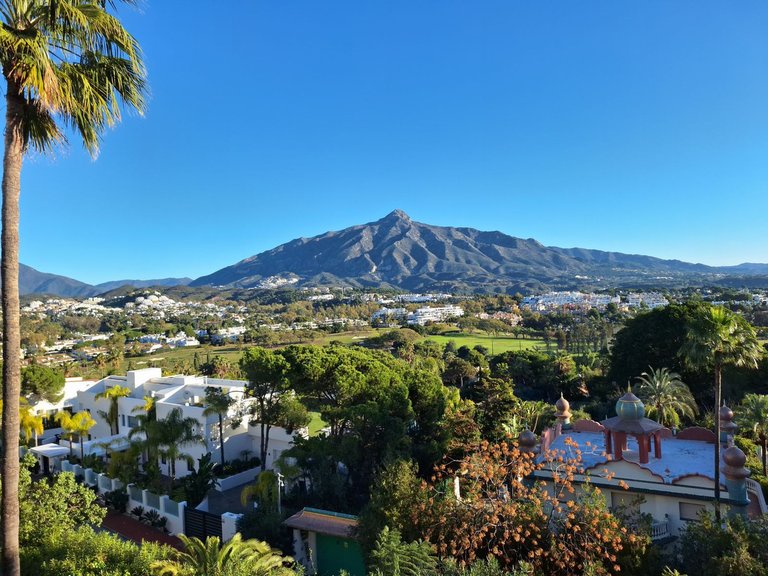 Apartment for Sale in Nueva Andalucía, Malaga 3