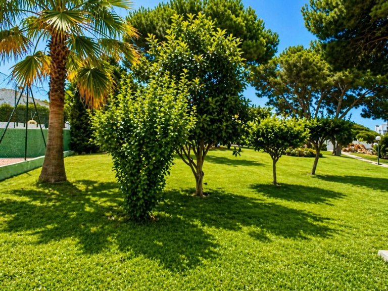 Apartment for Sale in Calahonda, Malaga 23