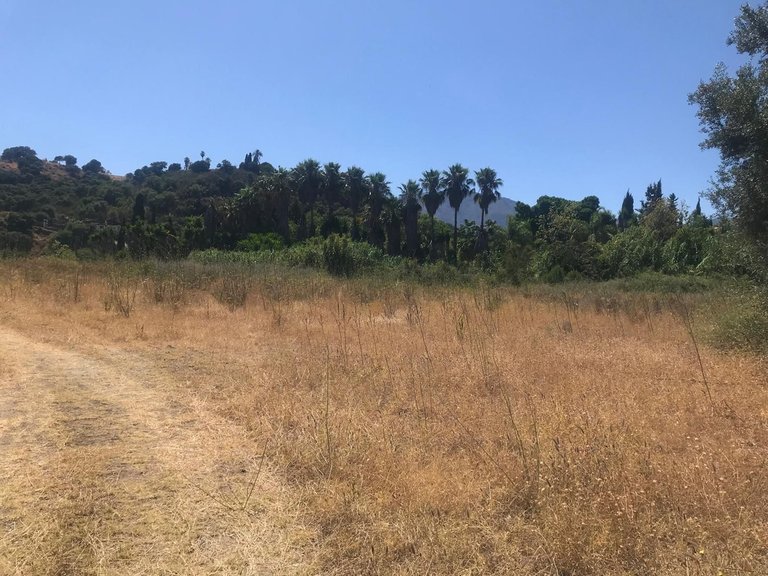 Plot for Sale in Estepona, Malaga 1