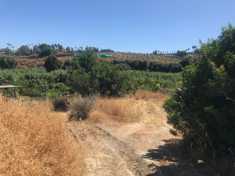 Plot for Sale in Estepona, Malaga 2