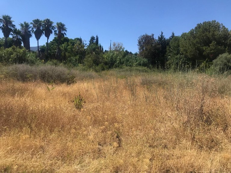 Plot for Sale in Estepona, Malaga 3