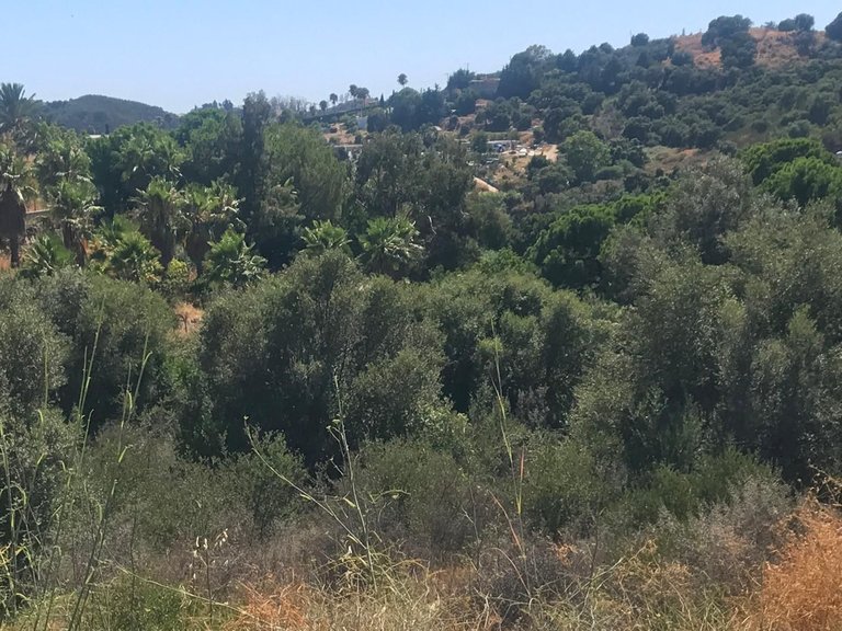 Plot for Sale in Estepona, Malaga 5