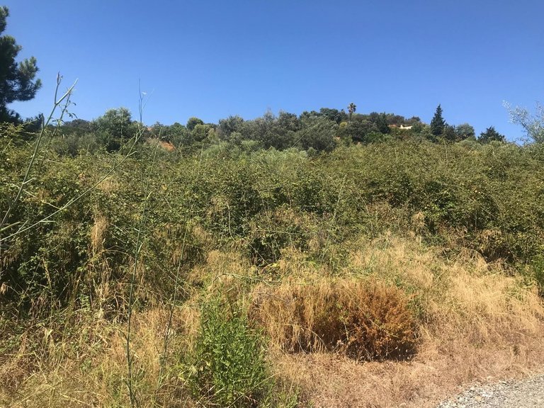 Plot for Sale in Estepona, Malaga 7