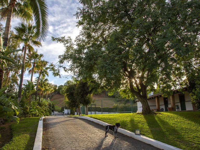 Villa for Sale in La Cala Golf, Malaga 113