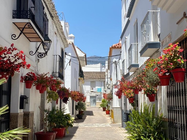 Apartment for Sale in Estepona, Malaga 20