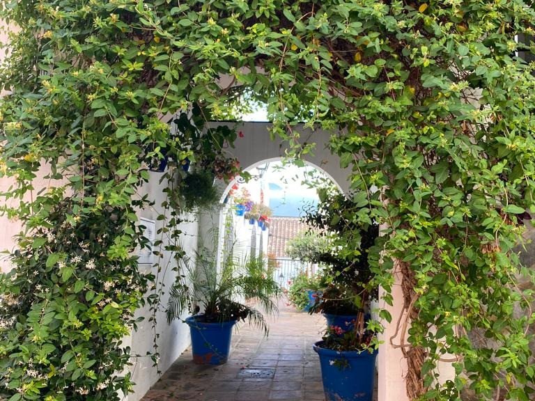 Apartment for Sale in Estepona, Malaga 23