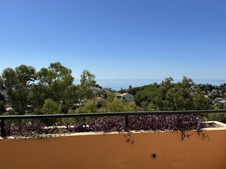 Villa for Sale in Cerrado De Calderón, Malaga 37