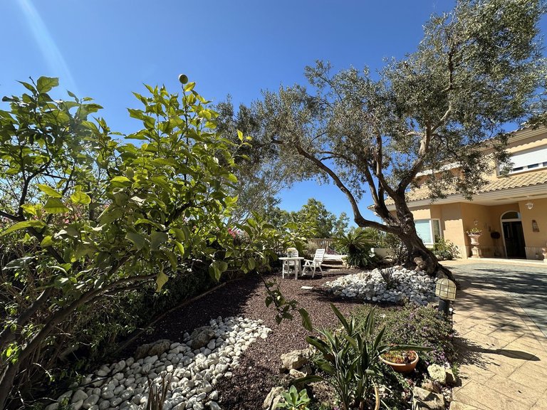 Villa for Sale in Cerrado De Calderón, Malaga 4