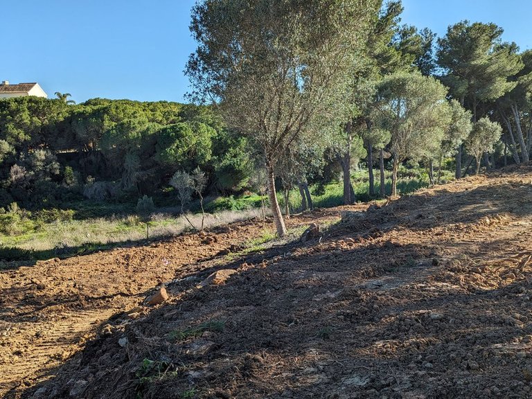 Plot for Sale in Sotogrande, Cadiz 1