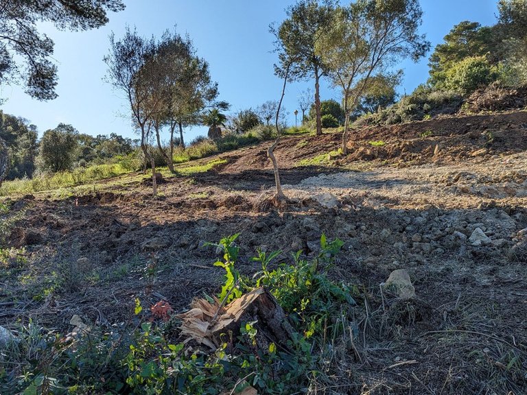 Plot for Sale in Sotogrande, Cadiz 10