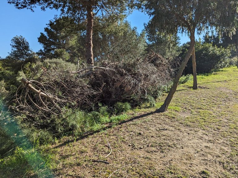 Plot for Sale in Sotogrande, Cadiz 11