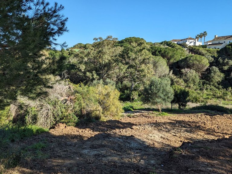 Plot for Sale in Sotogrande, Cadiz 2