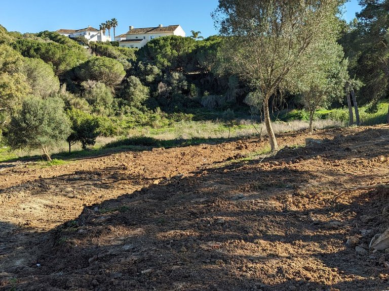 Plot for Sale in Sotogrande, Cadiz 6