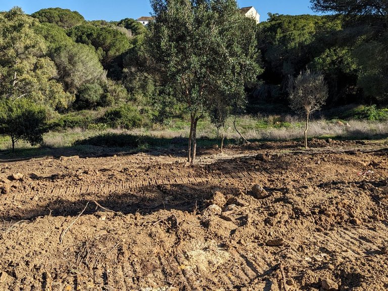 Plot for Sale in Sotogrande, Cadiz 7