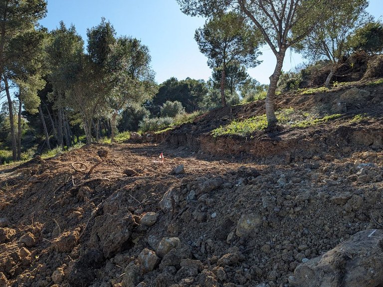 Plot for Sale in Sotogrande, Cadiz 8