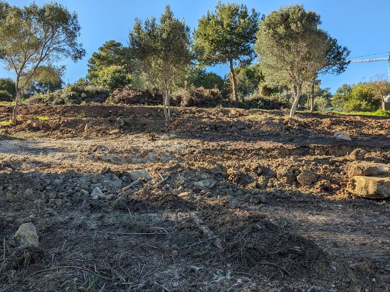 Plot for Sale in Sotogrande, Cadiz 9