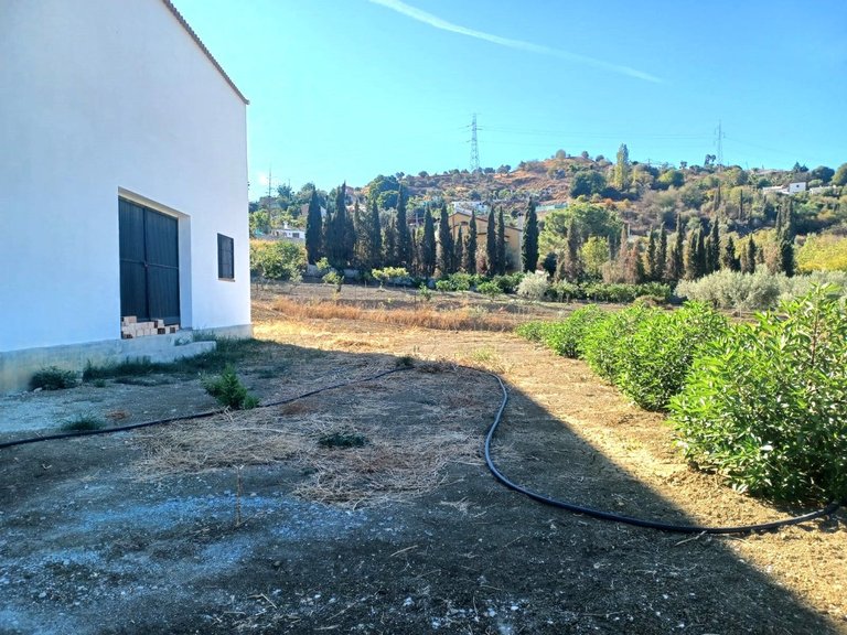 Villa for Sale in Coín, Malaga 4