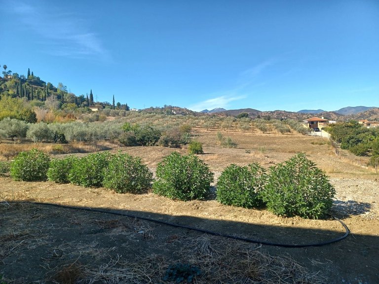 Villa for Sale in Coín, Malaga 7