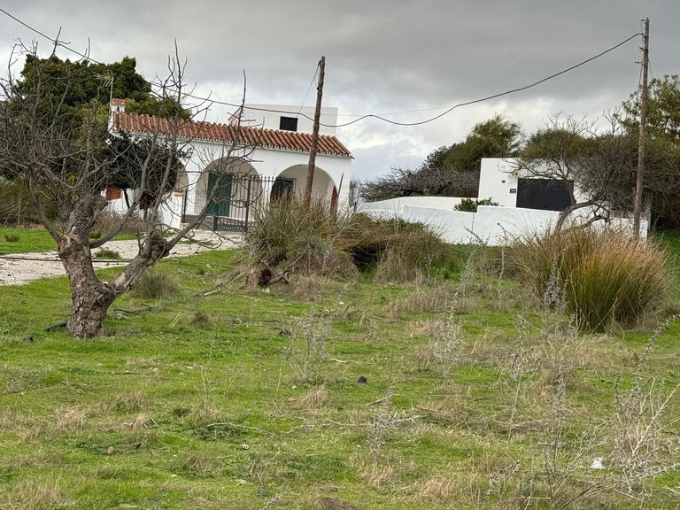 Villa for Sale in Cancelada, Malaga 1